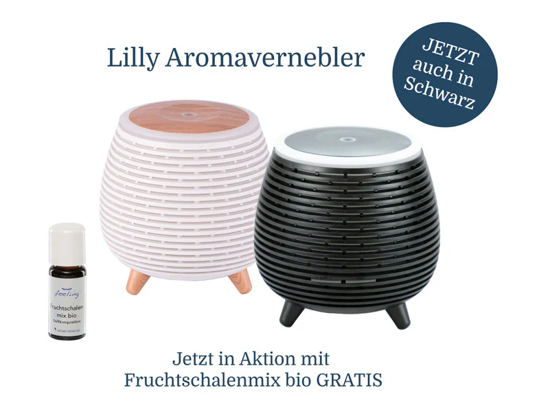 Vorschaubild 8